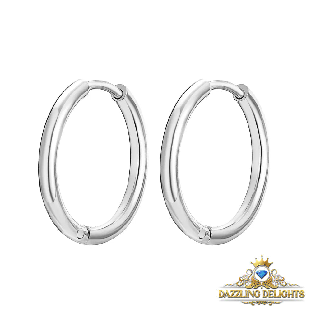 Titanium Classic Sleeper Earrings - Premium Jewelry from Dazzling Delights - Just $24.95! Shop now at Dazzling Delights