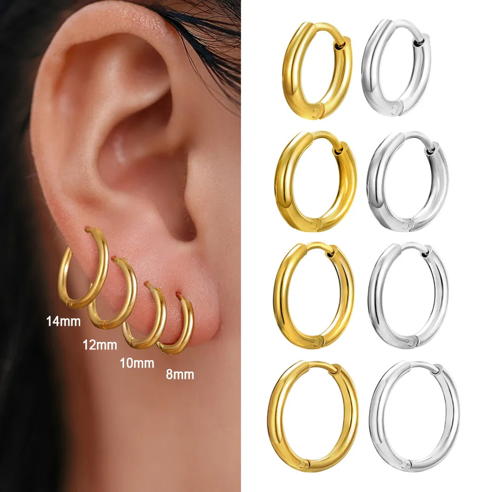 Titanium Classic Sleeper Earrings - Premium Jewelry from Dazzling Delights - Just $24.95! Shop now at Dazzling Delights