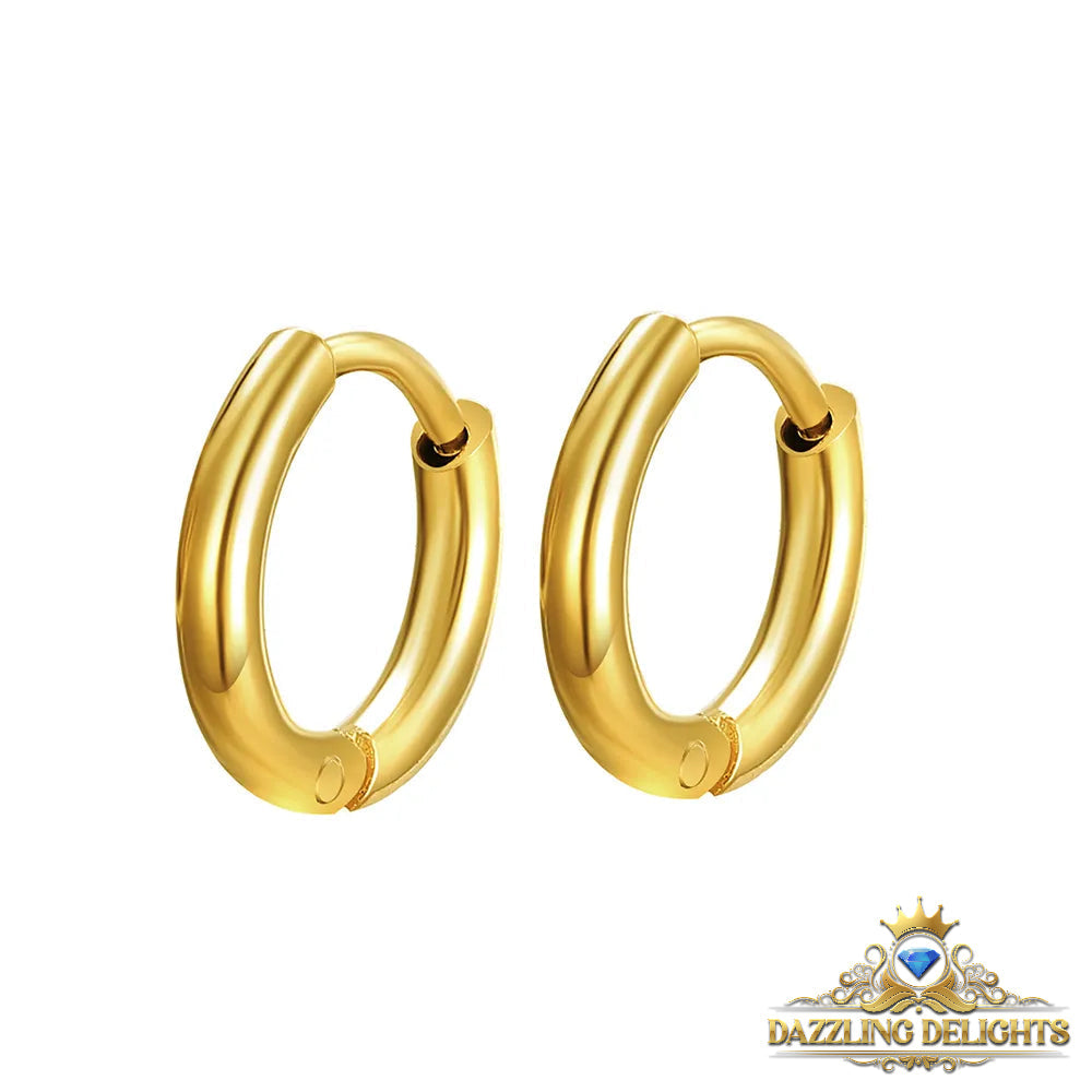 Titanium Classic Sleeper Earrings - Premium Jewelry from Dazzling Delights - Just $24.95! Shop now at Dazzling Delights