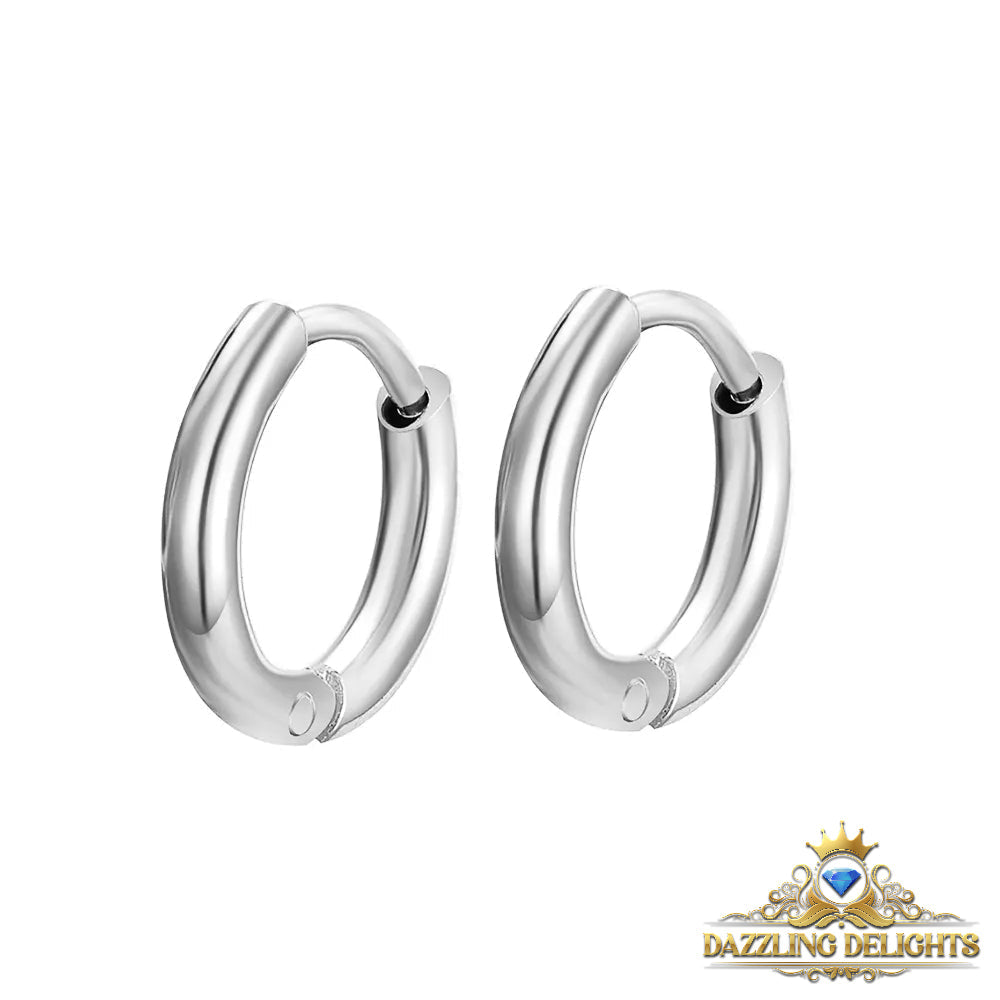 Titanium Classic Sleeper Earrings - Premium Jewelry from Dazzling Delights - Just $24.95! Shop now at Dazzling Delights