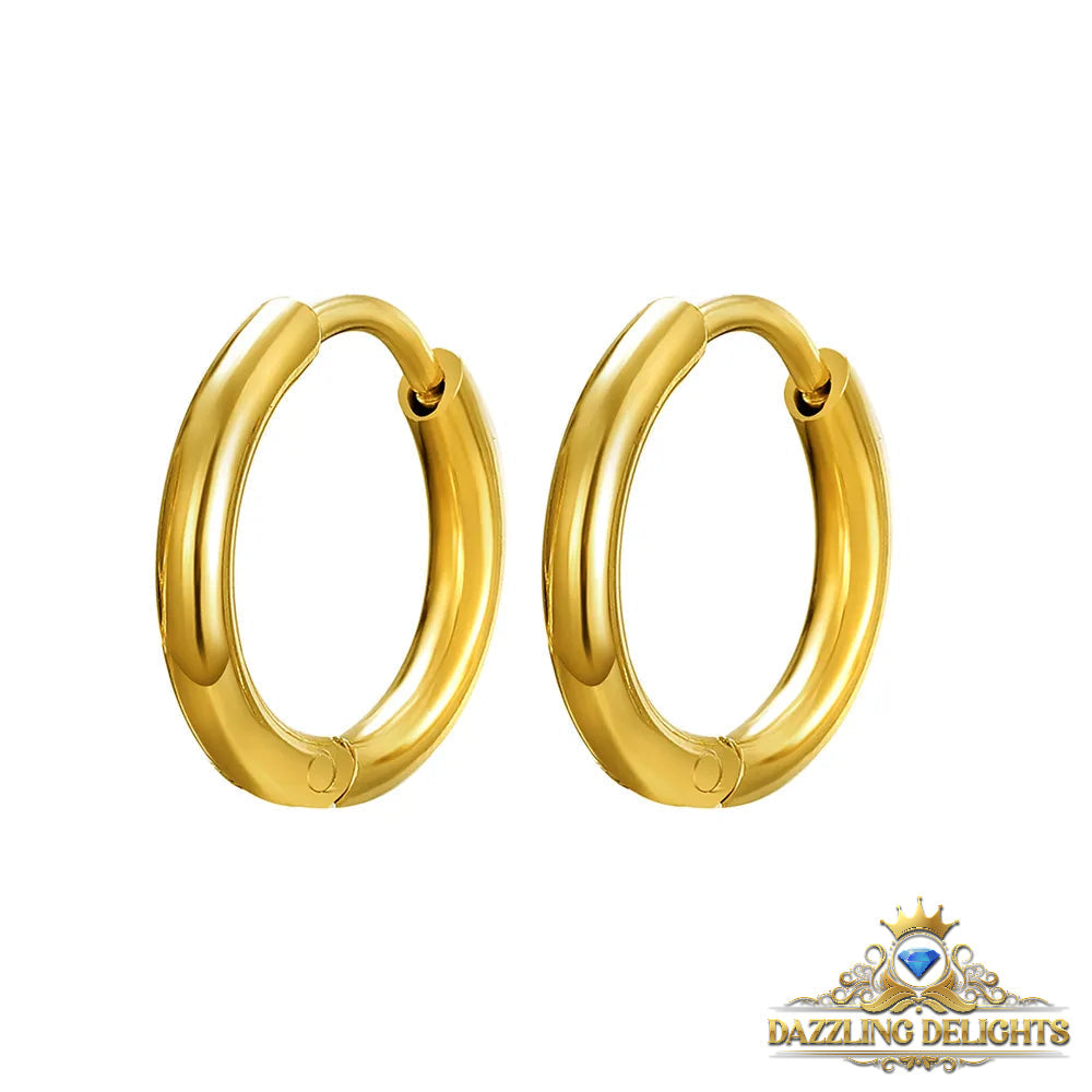 Titanium Classic Sleeper Earrings - Premium Jewelry from Dazzling Delights - Just $24.95! Shop now at Dazzling Delights