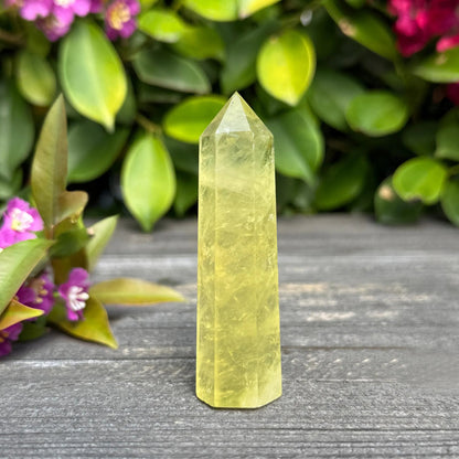Radiant Natural Citrine Tower Point – Golden Obelisk Wand (November Birthstone)