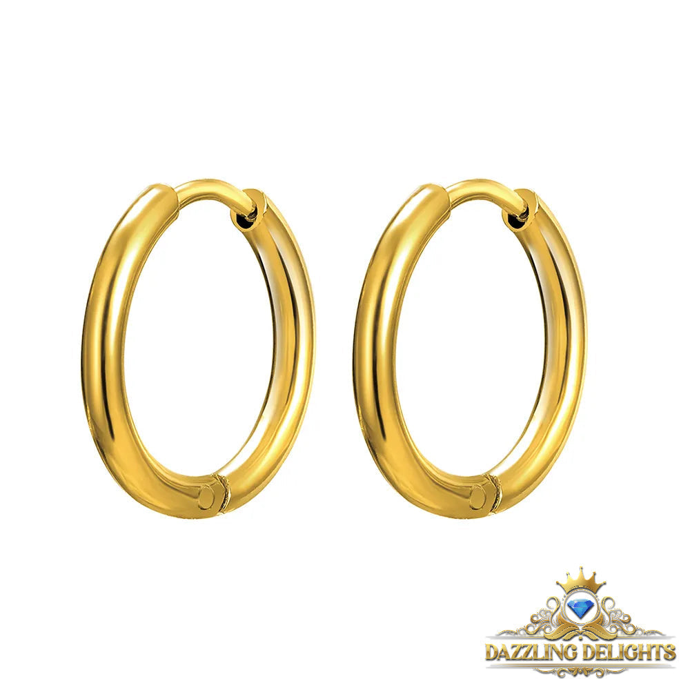 Titanium Classic Sleeper Earrings - Premium Jewelry from Dazzling Delights - Just $24.95! Shop now at Dazzling Delights