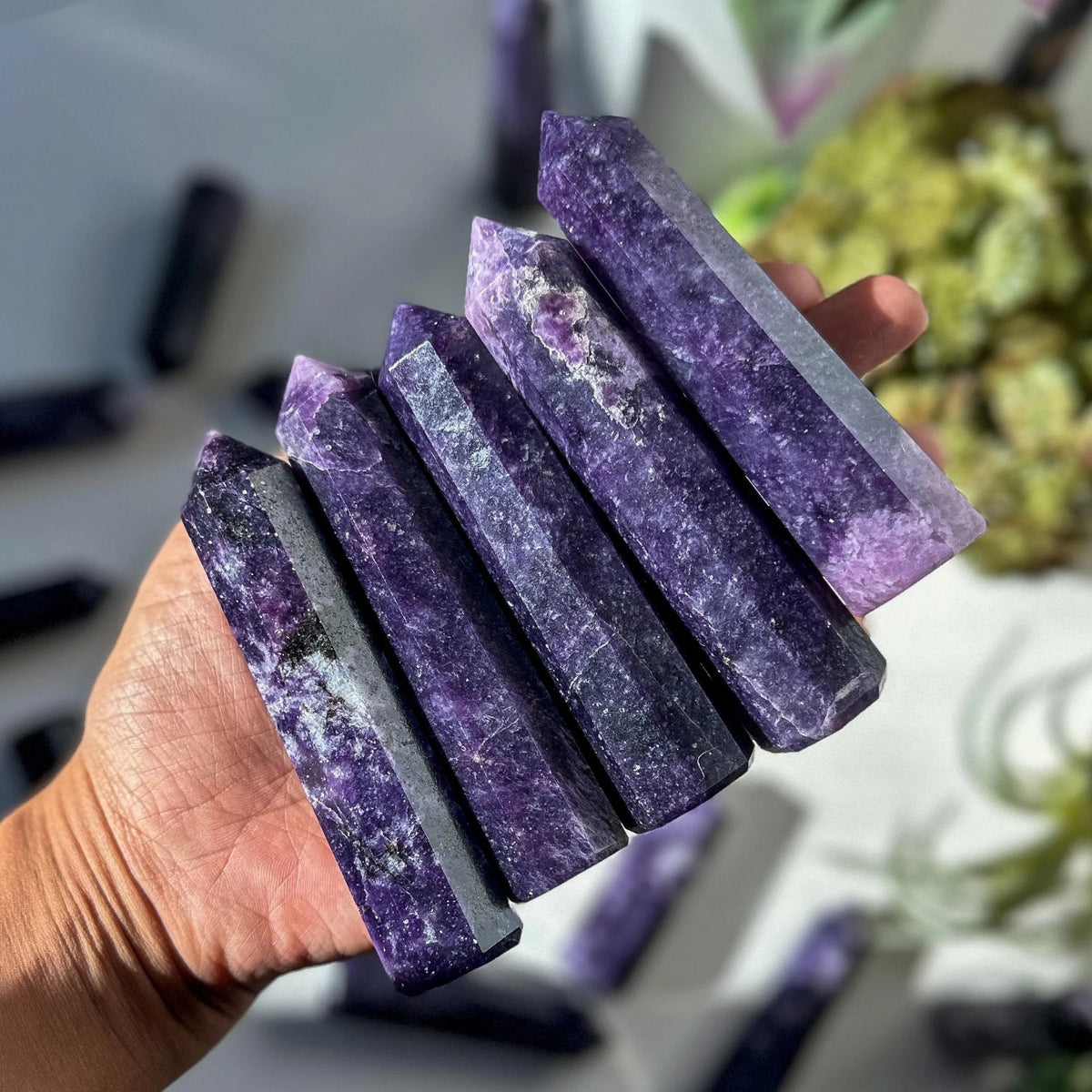 Hand holding five dark purple Lepidolite crystal towers under natural light, ideal for reiki, chakra cleansing, and metaphysical décor.
