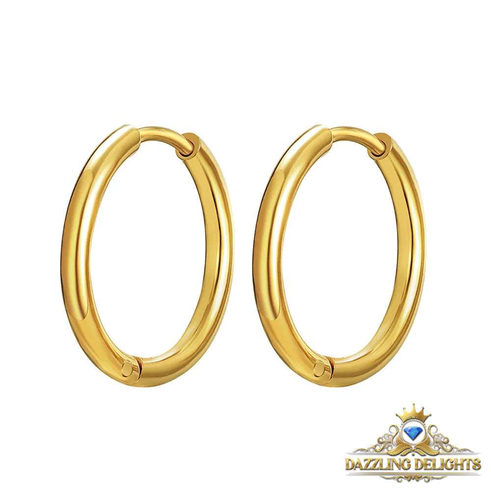 Titanium Classic Sleeper Earrings - Premium Jewelry from Dazzling Delights - Just $24.95! Shop now at Dazzling Delights