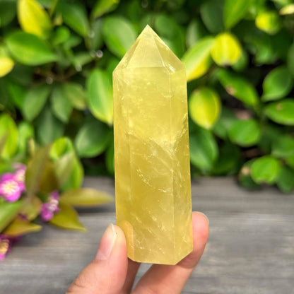 Radiant Natural Citrine Tower Point – Golden Obelisk Wand (November Birthstone)